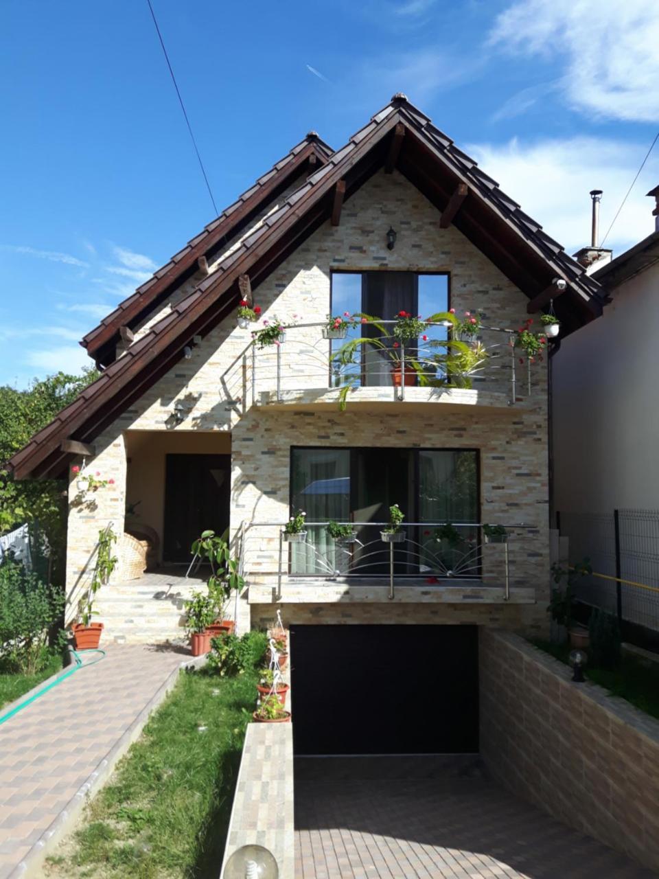 Vila Alexia Hotel Calimanesti Exterior photo